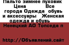 Пальто зимнее пуховик › Цена ­ 2 500 - Все города Одежда, обувь и аксессуары » Женская одежда и обувь   . Ненецкий АО,Топседа п.